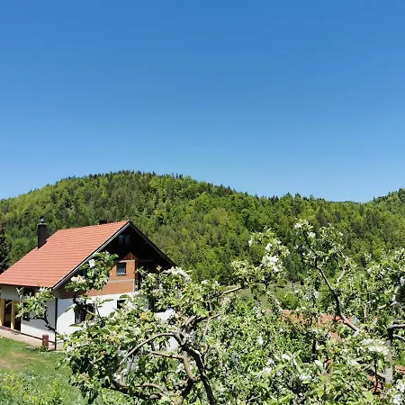 Appartement Planinski Mir *