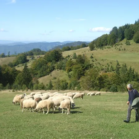 Planinski Mir * Zaovine