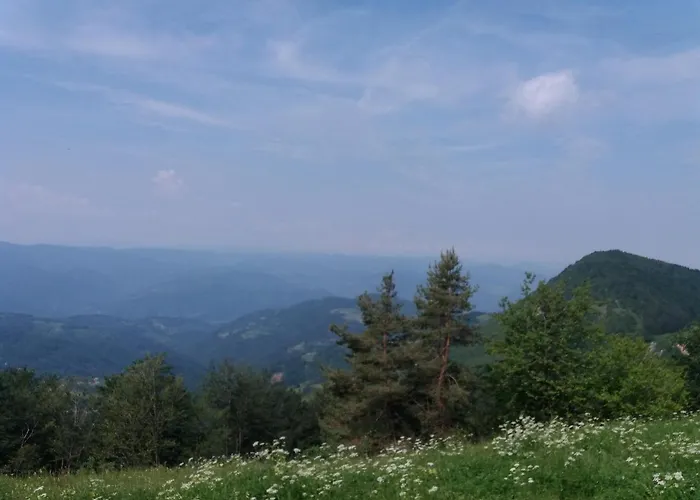 Apartament Planinski Mir