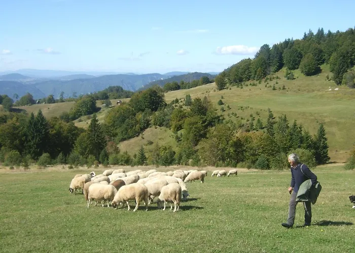 Planinski Mir * Zaovine