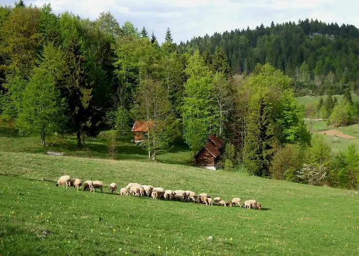 Apartament Planinski Mir