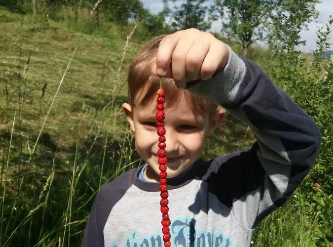 Planinski Mir * Zaovine